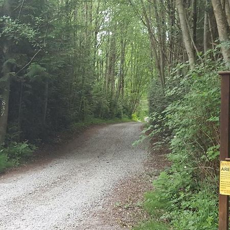 Roberts Creek A Tiny Escapeヴィラ エクステリア 写真
